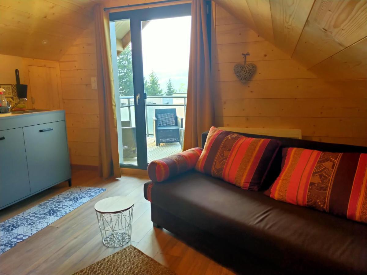 Au Chalet De Jo Мюльбах-сюр-Мюнстер Экстерьер фото