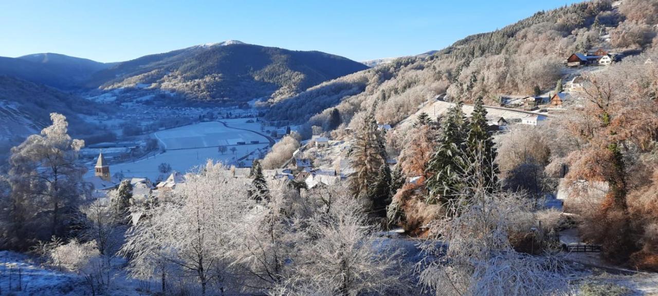 Au Chalet De Jo Мюльбах-сюр-Мюнстер Экстерьер фото